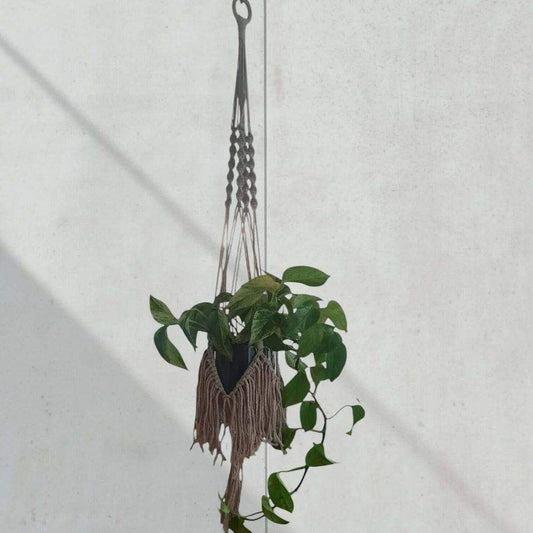 Macrame Pakket Plantenhanger "Fringe" Beige - Hobbygaren