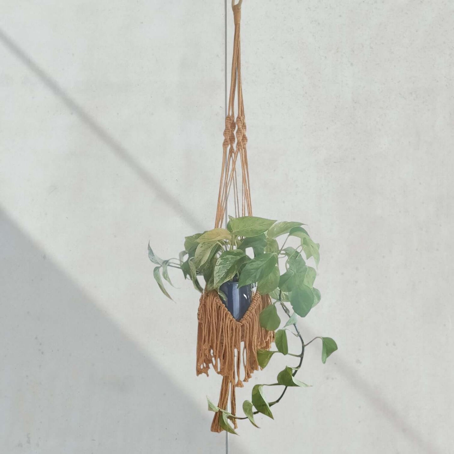 Macrame Pakket Plantenhanger "Fringe" Oker voorbeeld van hobbygaren.nl