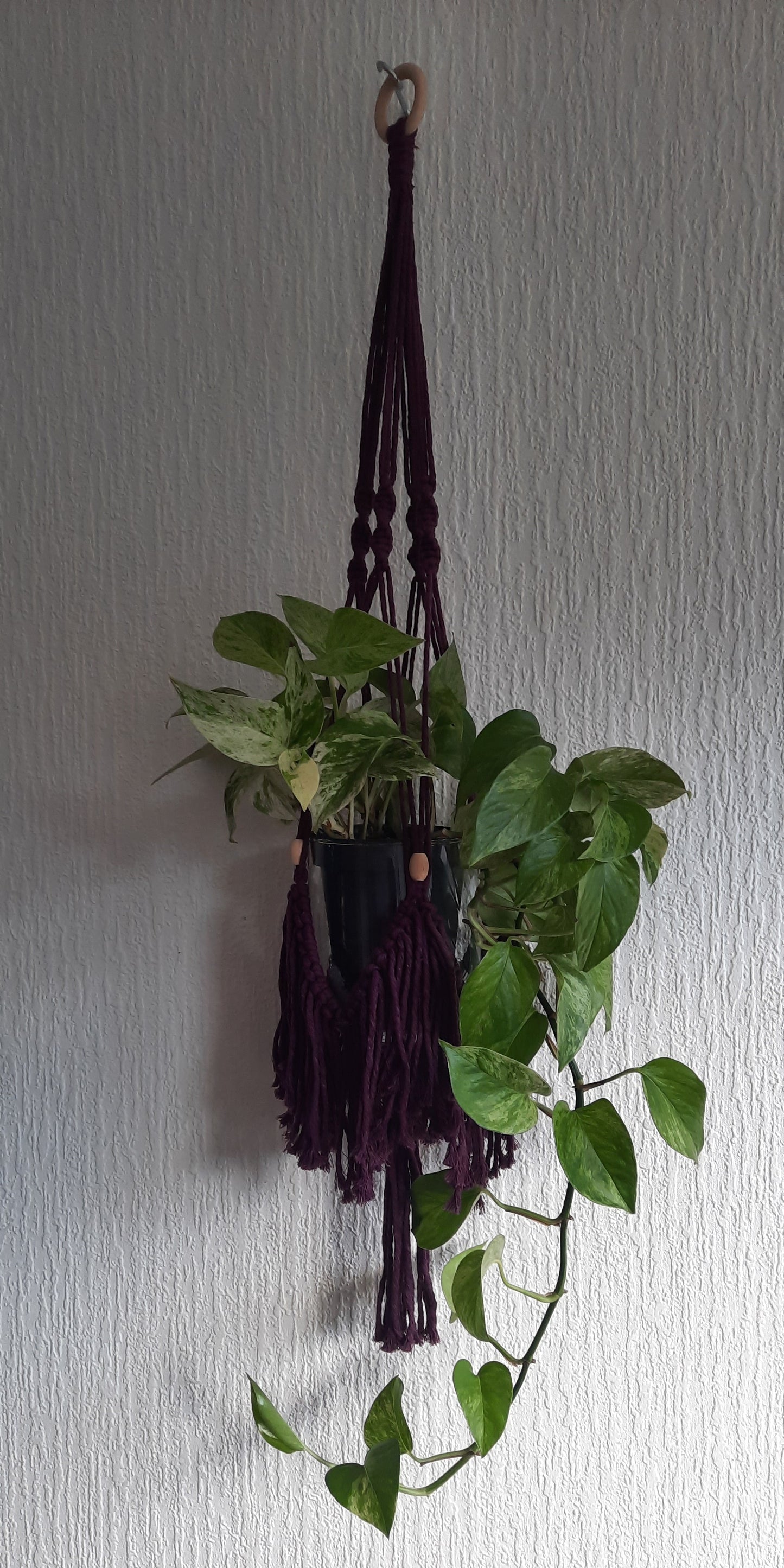 Macrame Pakket Plantenhanger "Fringe" Paars