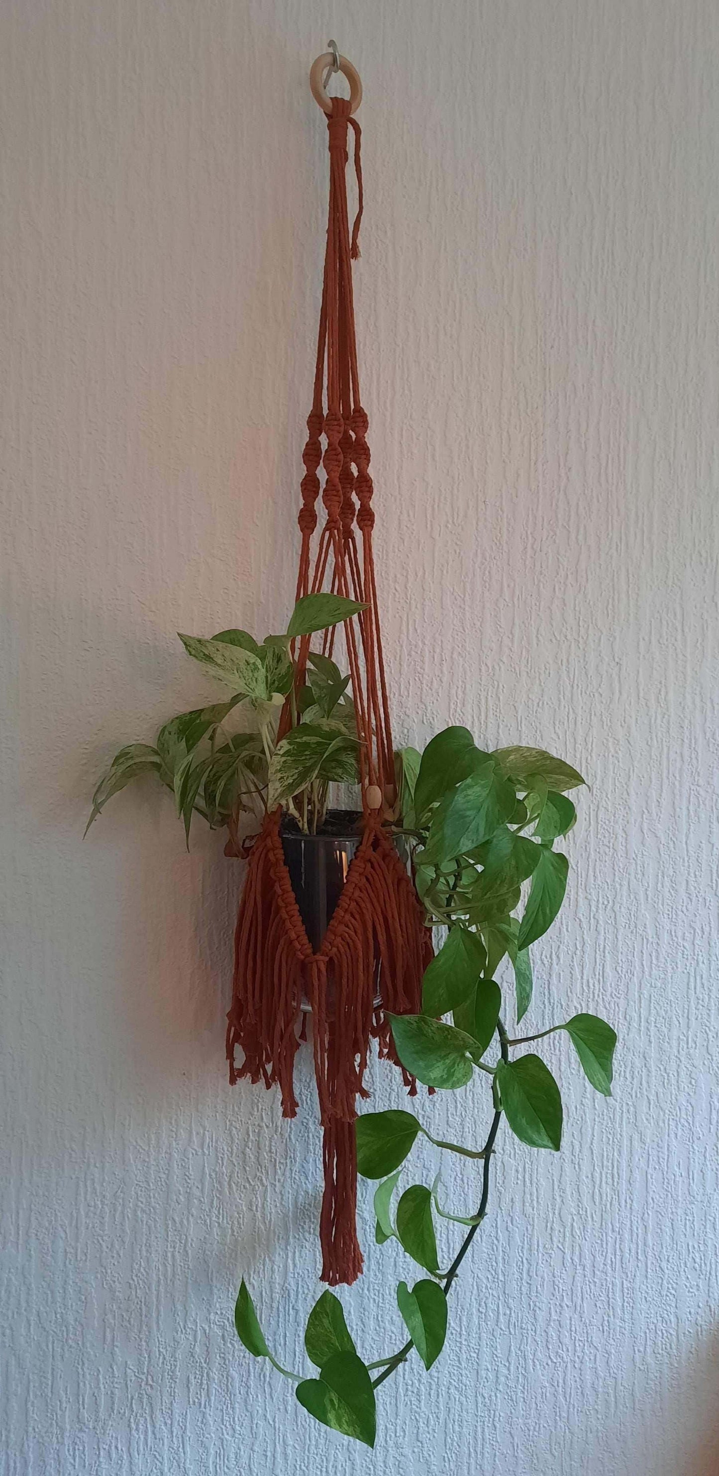Macrame Pakket Plantenhanger "Fringe" Terracotta - Hobbygaren