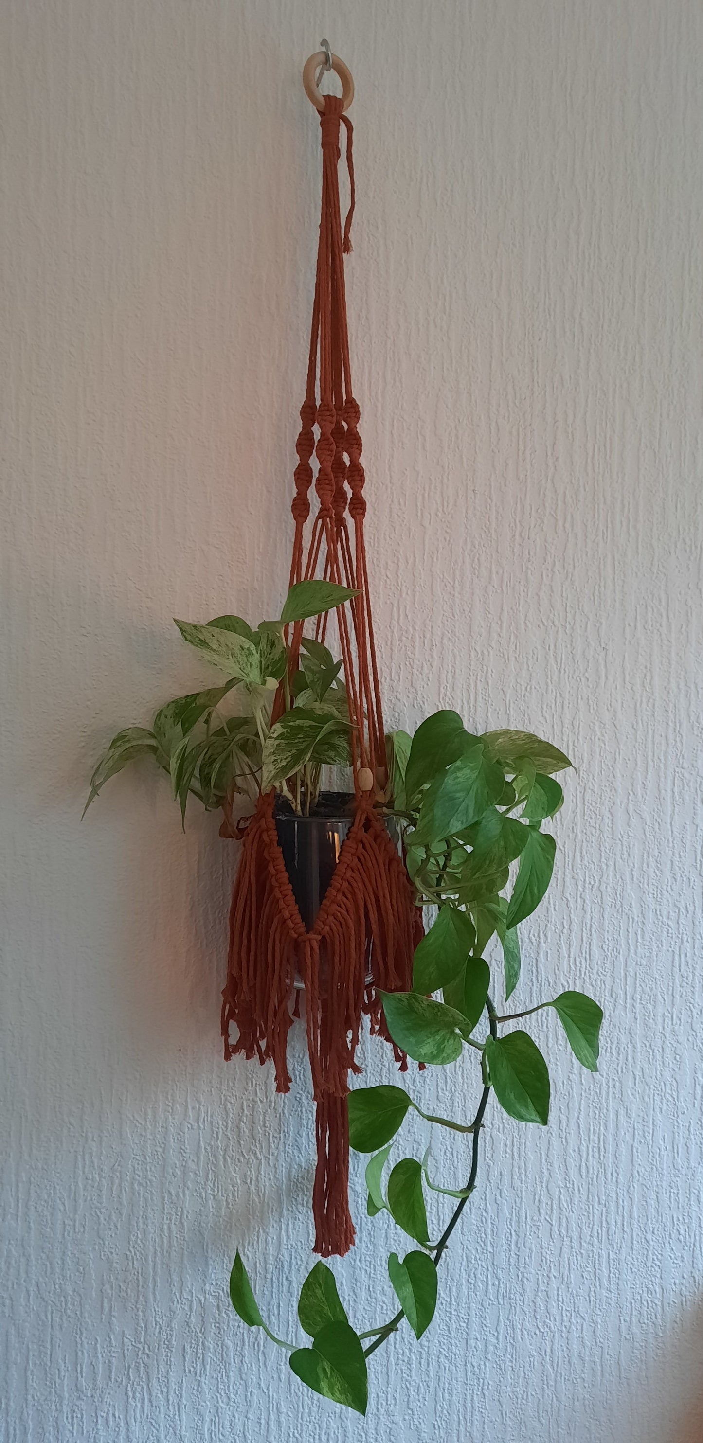 Macrame Pakket Plantenhanger "Fringe" Terracotta