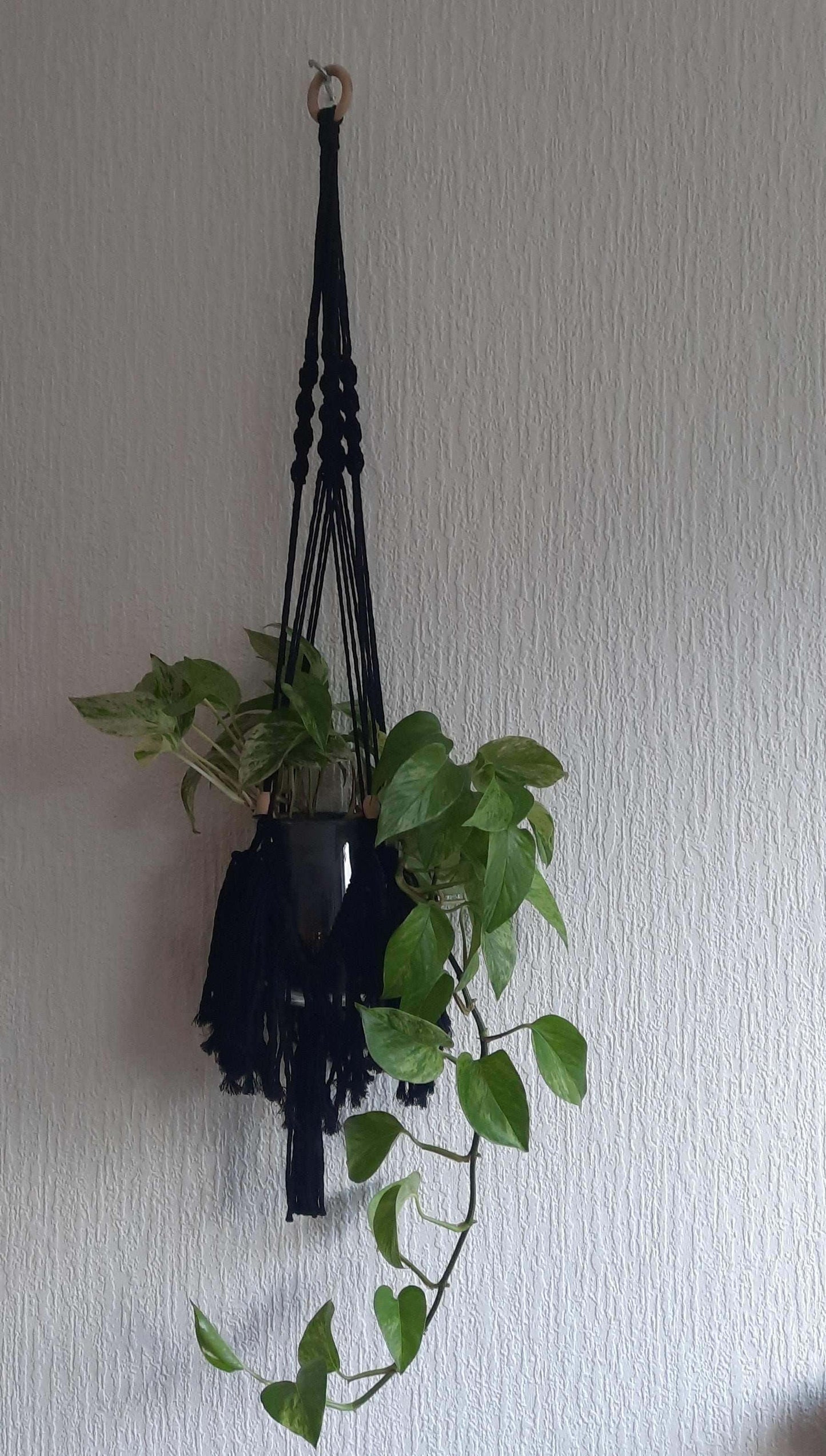 Macrame Pakket Plantenhanger "Fringe" Zwart - Hobbygaren