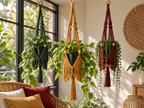 Macrame Package Plant Hanger "Fringe" Purple