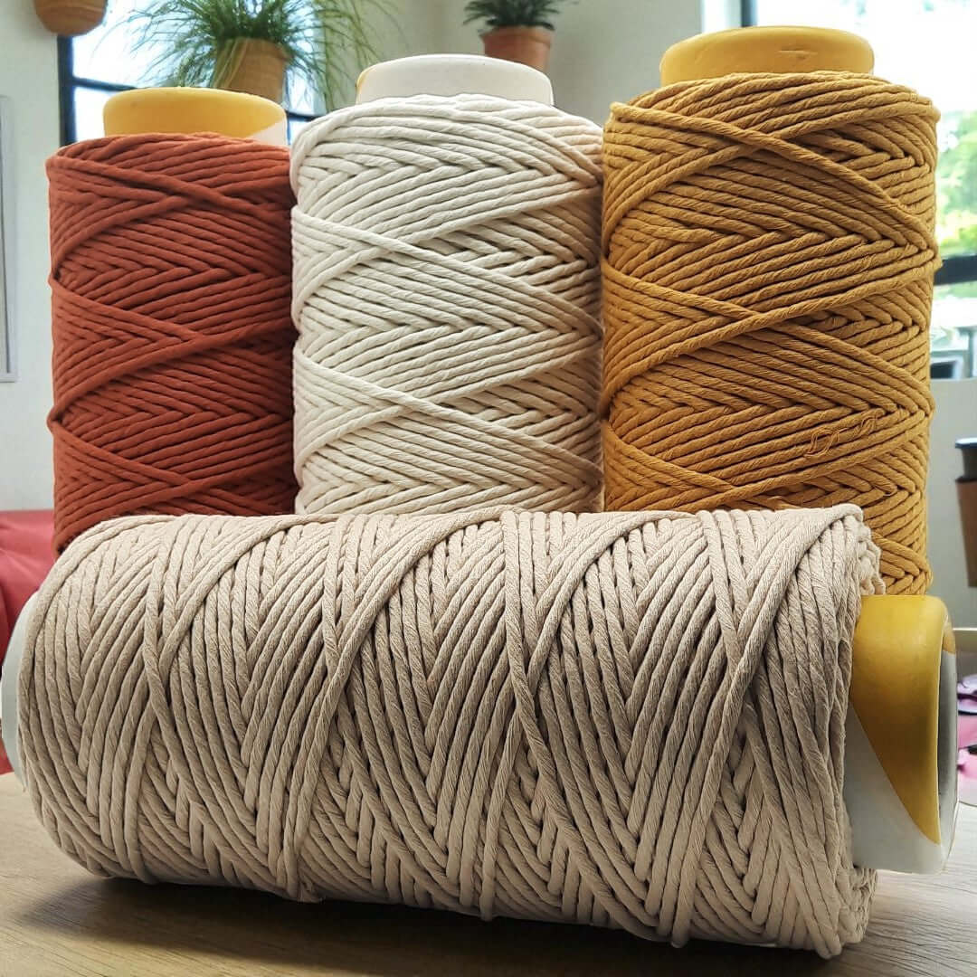 Netuno 1x Macramé garen olijfgroen 9 mm 50 m Katoenen koord met polyester kern voor macramé knutselen Dikke garen Netuno 1x Macramé garen olijfgroen 9 mm 50 m Katoenen koord met polyester kern voor macramé knutselen Dikke garen